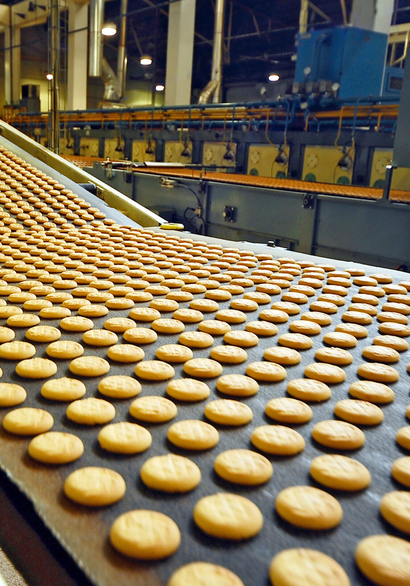 cookies factory.